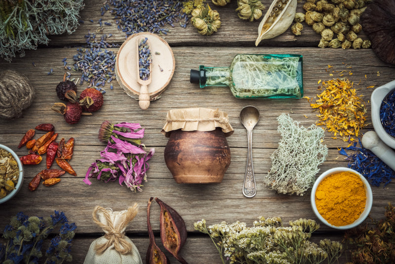 Autumn Elixirs: Aperitifs that Heal